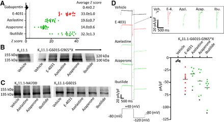 Fig. 8.