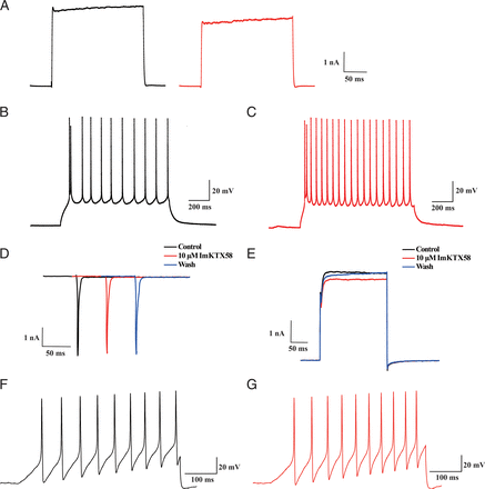 Fig. 5.