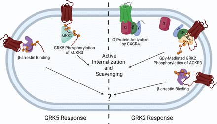 Fig. 10.