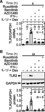 Fig. 8.