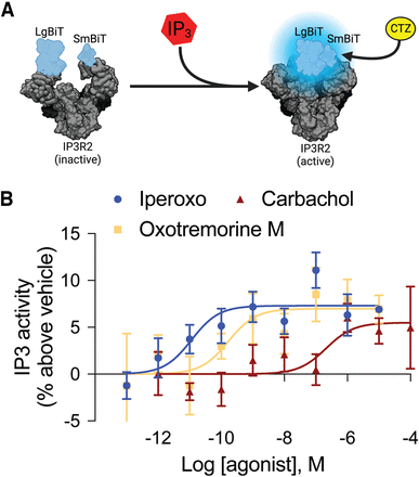 Fig. 4.