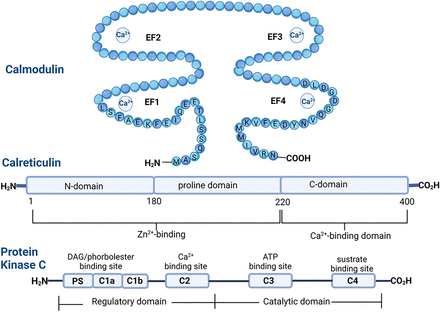 Fig. 3.