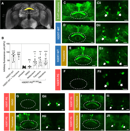 Fig. 11.