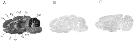 Figure 11