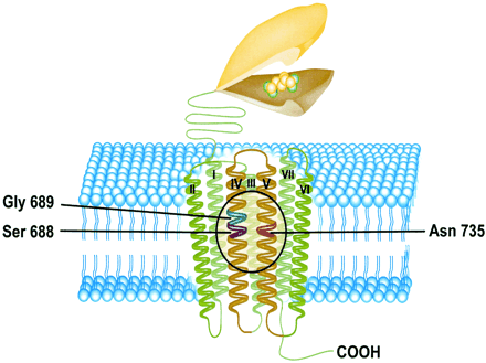   Fig. 8. 