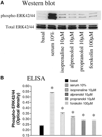   Fig. 9. 