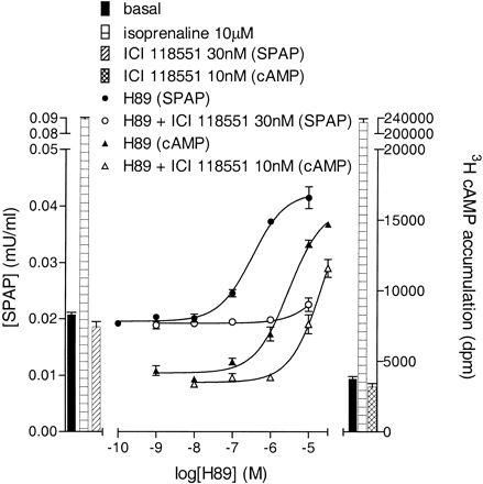   Fig. 10. 