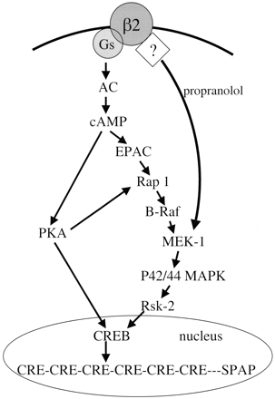   Fig. 13. 