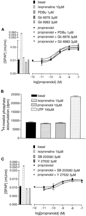   Fig. 12. 