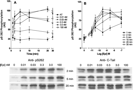   Fig. 3. 