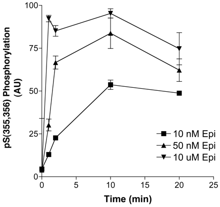   Fig. 8. 