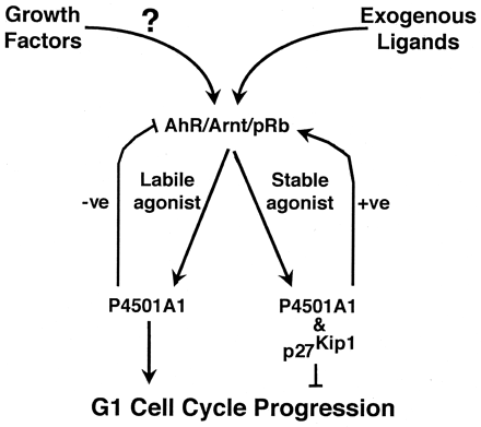   Fig. 12. 