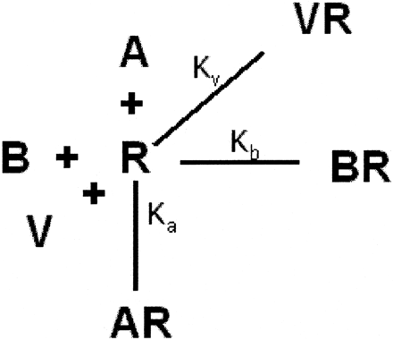   Scheme 2. 