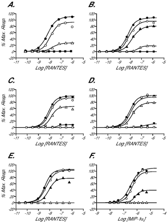   Fig. 9. 