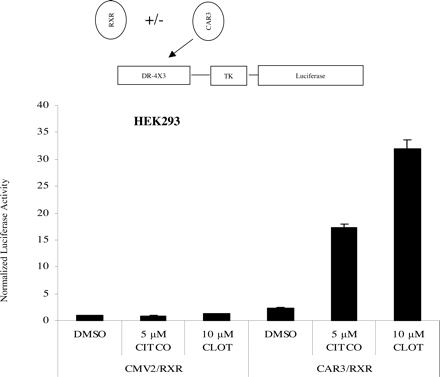   Fig. 8. 