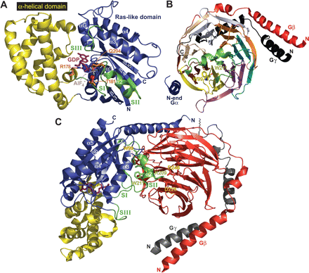              Fig. 3.           