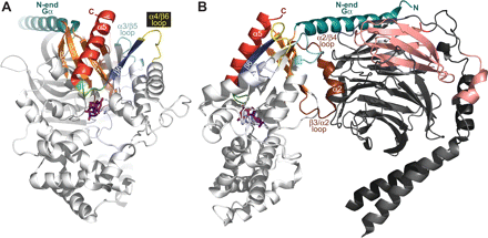              Fig. 4.           