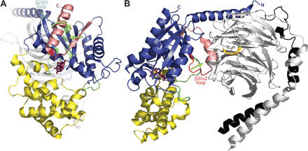              Fig. 5.           