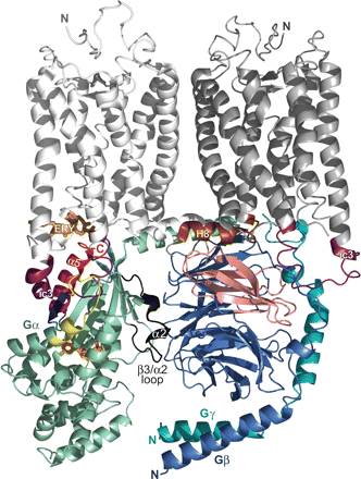              Fig. 6.           