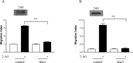   Fig. 10. 