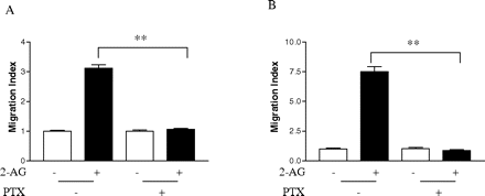   Fig. 11. 