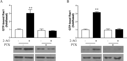   Fig. 12. 