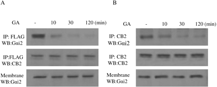   Fig. 13. 