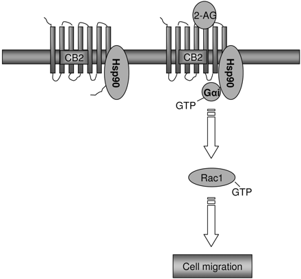   Fig. 14. 