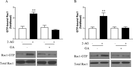   Fig. 9. 