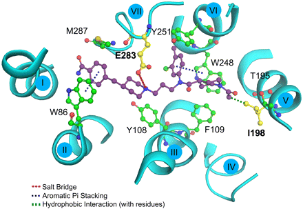   Fig. 10. 