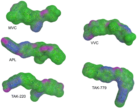   Fig. 5. 