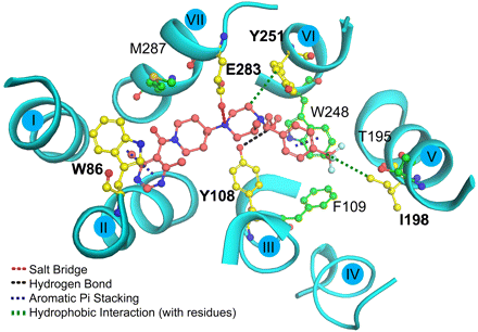   Fig. 8. 