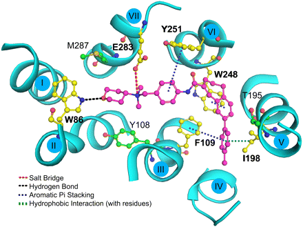   Fig. 9. 