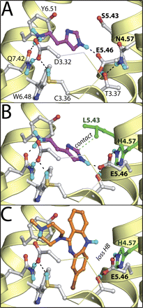 Fig. 7.