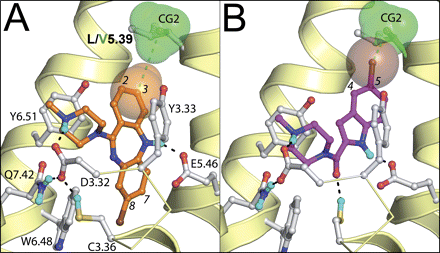 Fig. 8.