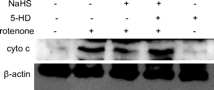 Fig. 7a.