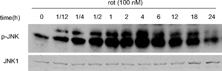 Fig. 8b.