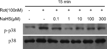 Fig. 9a.