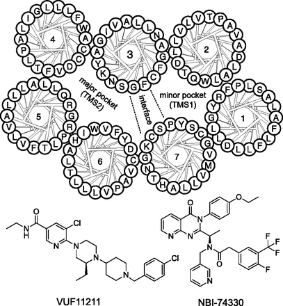 Fig. 1.