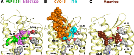 Fig. 5.