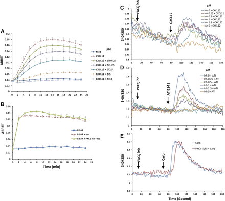 Fig. 8.