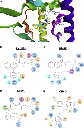 Fig. 8.