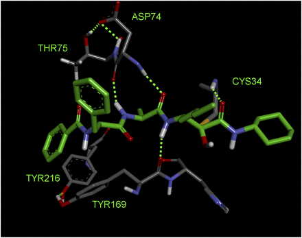 Fig. 5.