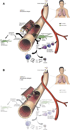 Fig. 9.