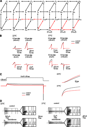 Fig. 8.