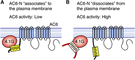 Fig. 8.