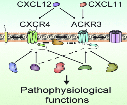 Figure1