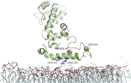 Fig. 6.