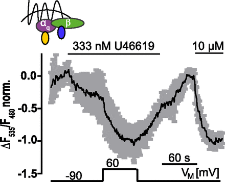 Fig. 6.