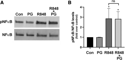 Fig. 9.